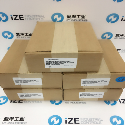 wb-1 NORTHSTAR HENGSTLER HSD351024PA7 天生赢家凯发一触即发工业 IZE_INDUSTRIES.jpg