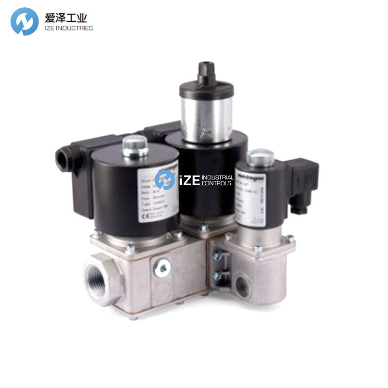 GIULIANI ANELLO GSAVR izeindustrialcontrols 天生赢家凯发一触即发工业.jpg