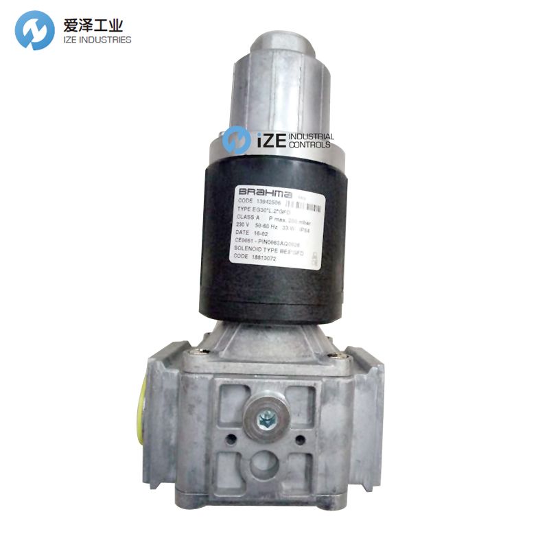 Brahma EG30 EG30_L.2_GMO izeindustrialcontrols 天生赢家凯发一触即发工业.jpg