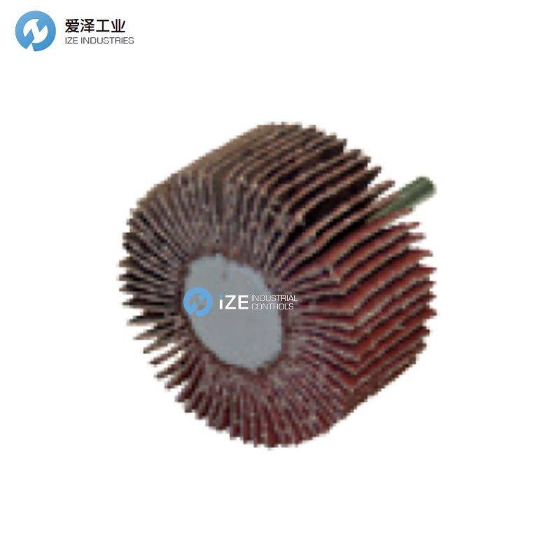 wendt 千叶轮WF60306K040 102252 60x30  izeindustrialcontrol 天生赢家凯发一触即发工业.jpg