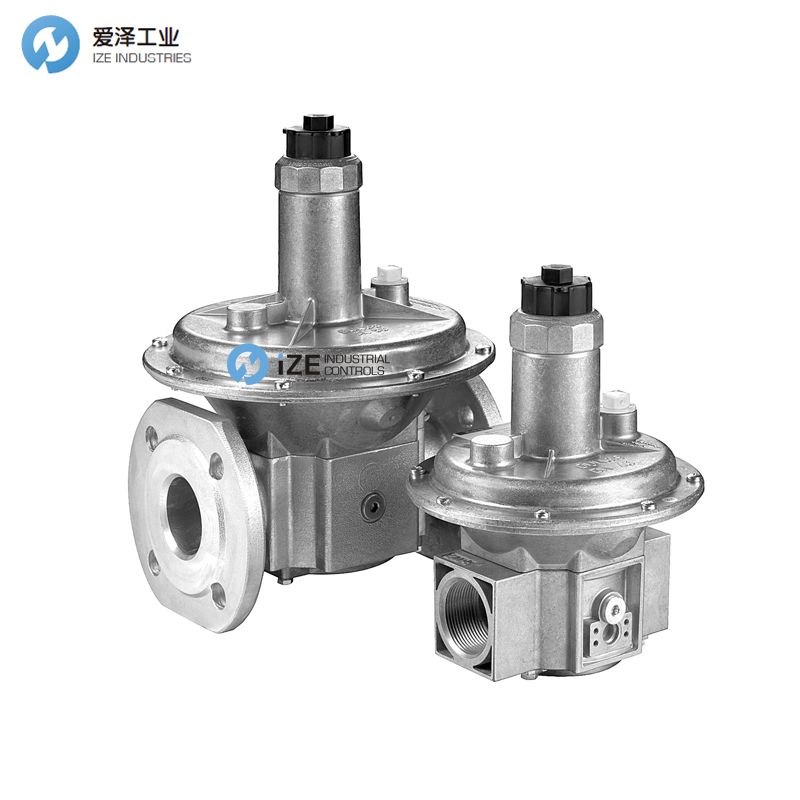 dungs FRS izeindustrialcontrols 天生赢家凯发一触即发工业.jpg
