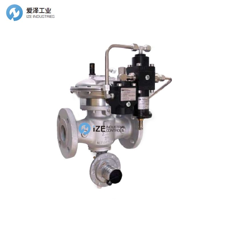 FIORENTINI 调压阀DIXI25及维修包 izeindustries 天生赢家凯发一触即发工业.jpg