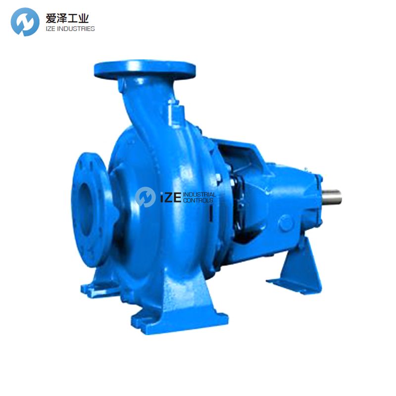 美国ROBUSCHI离心泵RNS100-250 izeindustries 天生赢家凯发一触即发工业.jpg