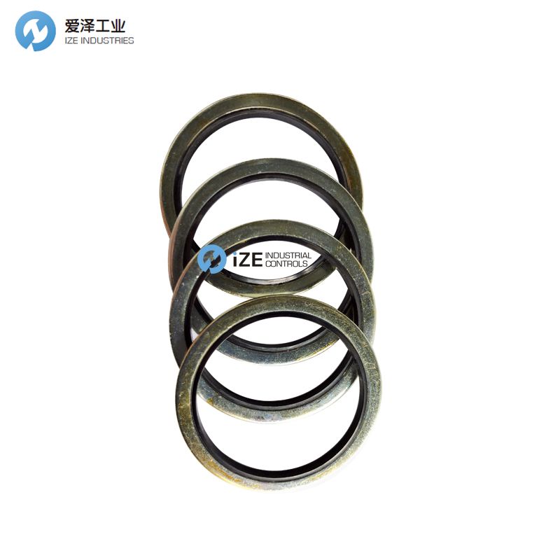 BUSAK+SHAMBAN_B+S密封DDM系列 DDM000337-N9MC1 33.7_42_2 天生赢家凯发一触即发工业 izeindustries.jpg