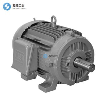 WEG电机W22系列 天生赢家凯发一触即发工业-izeindustries.jpg