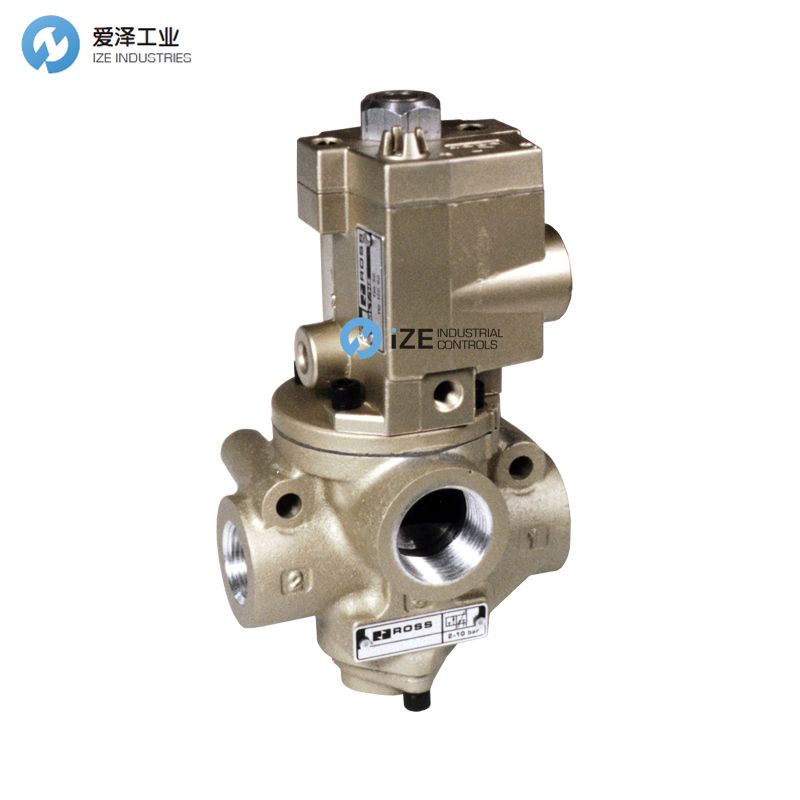 ROSS提升阀21系列D2173B5001W天生赢家凯发一触即发工业izeindustries.jpg