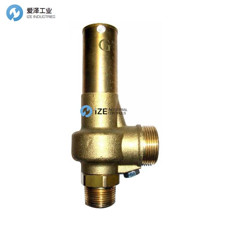 NUOVA GENERAL安全阀G25系列 天生赢家凯发一触即发工业izeindustries.jpg