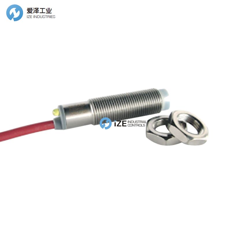 RECHNER IAS-10-A22-S-M12-PTFEVAb-100C-Z02-0 izeindustrialcontrols 天生赢家凯发一触即发工业.jpg