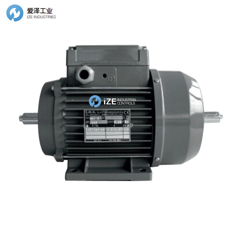 E.M.G电机TIPO804 示例TIPO80-4 307DA30178天生赢家凯发一触即发工业 izeindustrialcontrols.jpg