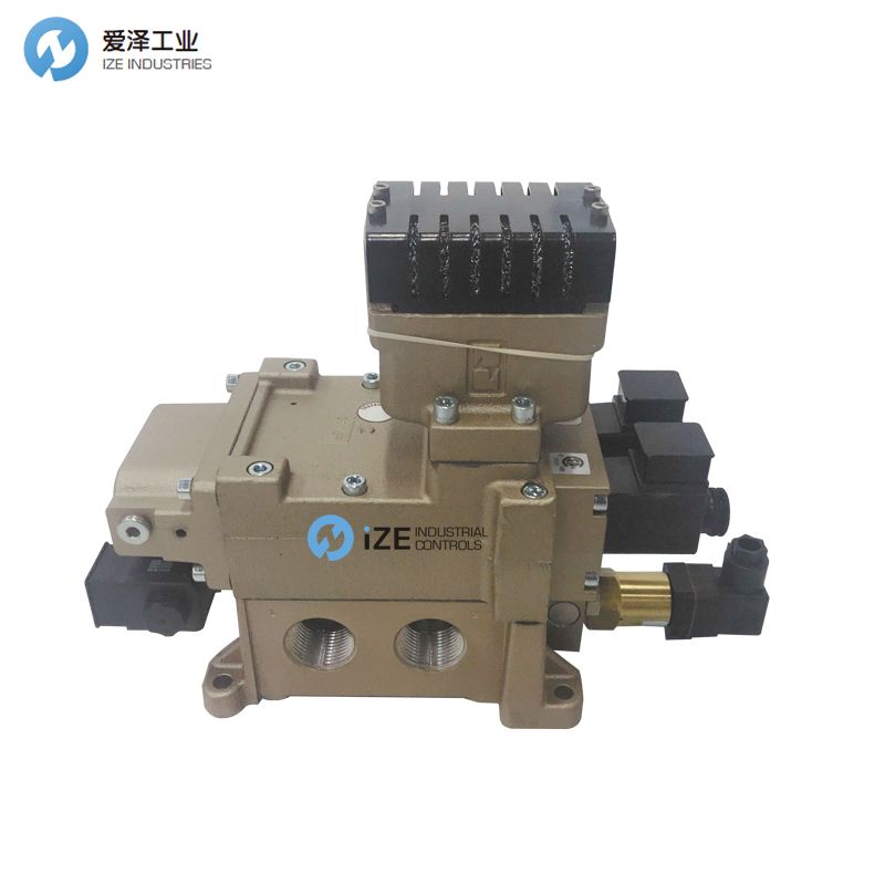 ROSS DM2DNA55A21 天生赢家凯发一触即发工业 izeindustrialcontrols.jpg