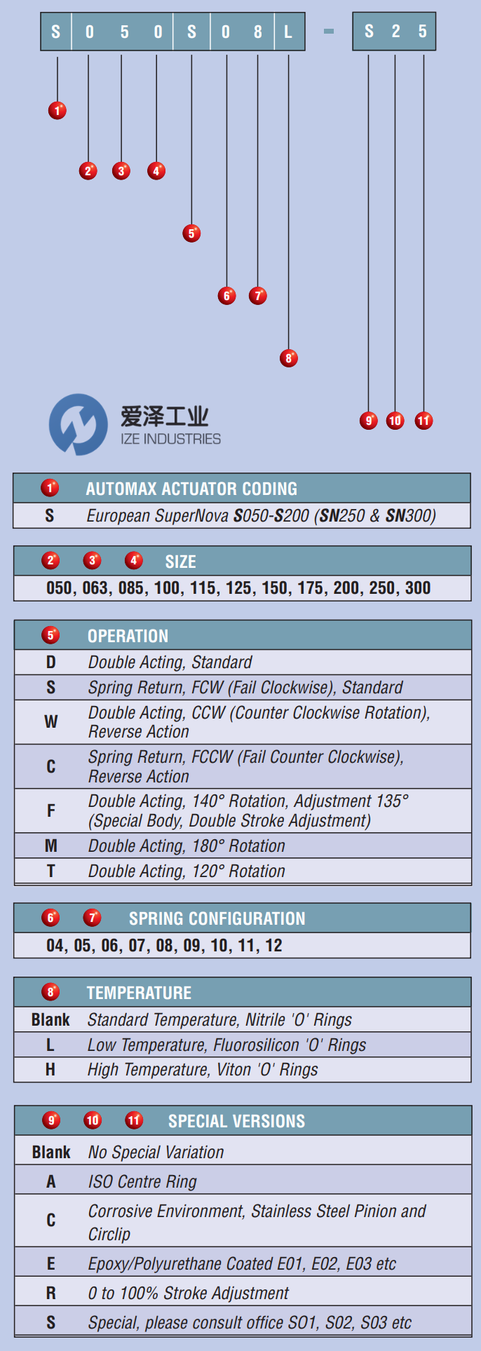 FLOWSERVE气动执行器S100D 天生赢家凯发一触即发工业ize-industries (1).png