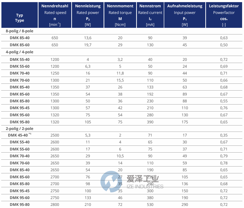 SEAP电机DMK系列 天生赢家凯发一触即发工业ize-industries (2).png