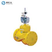 GORTER阀门及配件P095 MPS/HPS