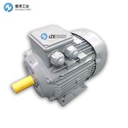 ELMOT-SCHAFER电机TEQ2EFC90L2D-40H