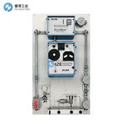 DELMAR硫化氢（H2S）分析仪SulfurSmart?1000