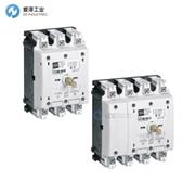 R-STAHL开关按钮8544系列 8544/1-31