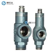 MERCER安全阀8100系列 81-17151V09G11