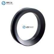 ERIKS密封环A系列 示例V100A