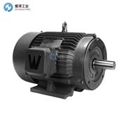 WORLDWIDE ELECTRIC电机WWE75-18-365TC