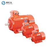 HELMKE电机DOR系列 示例DOR355L2-2-044