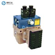 ROSS带L-G监控器SERPAR?双阀35系列 示例3573D5215