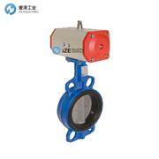 EA执行器TF561007-EE620852+AN621207A