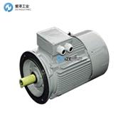 HEGA三相鼠笼式电动机FCA112M-4