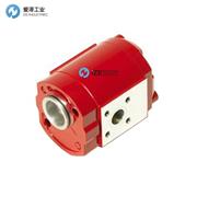 HYDAC齿轮泵PGE100系列 示例PGE100-100-RMK1-N