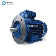 瑞典BEVI电机2SIEIE2系列 示例2SIEL90S4