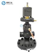 SPIRAX SARCO减压阀25P