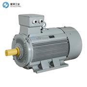 AC-MOTOREN电机AWM315LB 4/PHE