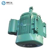 TEE电机QSFA100L4A-40H