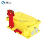 THERMO RAMSEY拉线开关60-31G