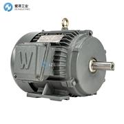 WORLDWIDE ELECTRIC电机PEWWE7.5-18-213T