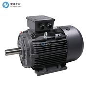 TEE电机QSFA71M4B40H