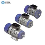 MGM电机BAPV80B4-B3