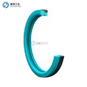 BUSAK+SHAMBAN格莱圈PG系列 PG4601500-T05