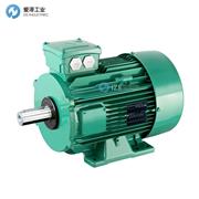 LEROYSOMER电机LSES系列 LSES132M