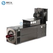 OEMER电机QL系列 QL100P