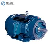 WORLDWIDE ELECTRIC电机LAM25-18-284TC