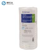 PENTAIR滤芯WPX100BB97P