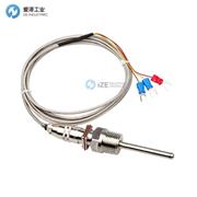 TERMICS热电偶013289