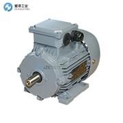 ELEKTROMOTORENWERK电机F63M-2