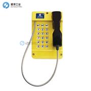 GAI-TRONICS工业电话620-A221422122E