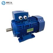 BEVI电机4An 132M2-6