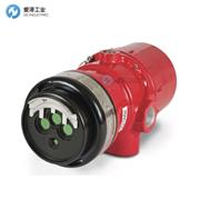 DET-TRONICS火焰探测器X3301S4N23Y2
