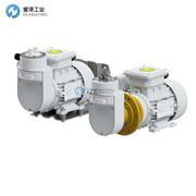 BUHLER取样气泵4261711199000