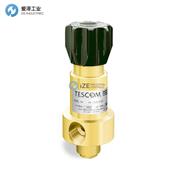 TESCOM调节器44-1313-2082-005