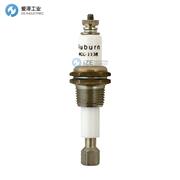 AUBURN电极液位计WCC-1138LT