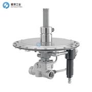 FISHER覆盖阀ACE95